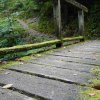 09 b Schluchensteig Etappe 4 - 6